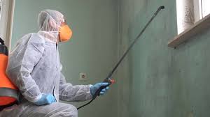 Why You Should Choose Our Mold Remediation Services in Panhandle, TX